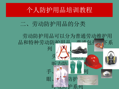 個人防護用品使用規(guī)范與網絡技術服務安全培訓